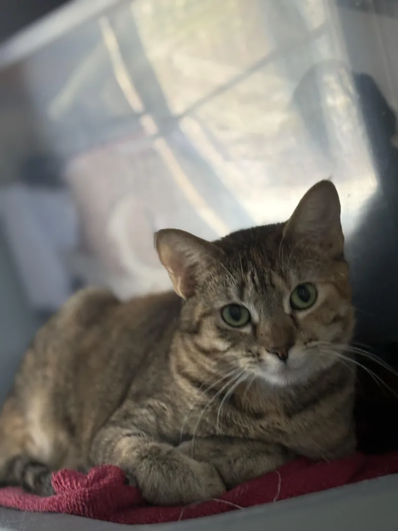 Pink Pony & Victoria thumbnail 3