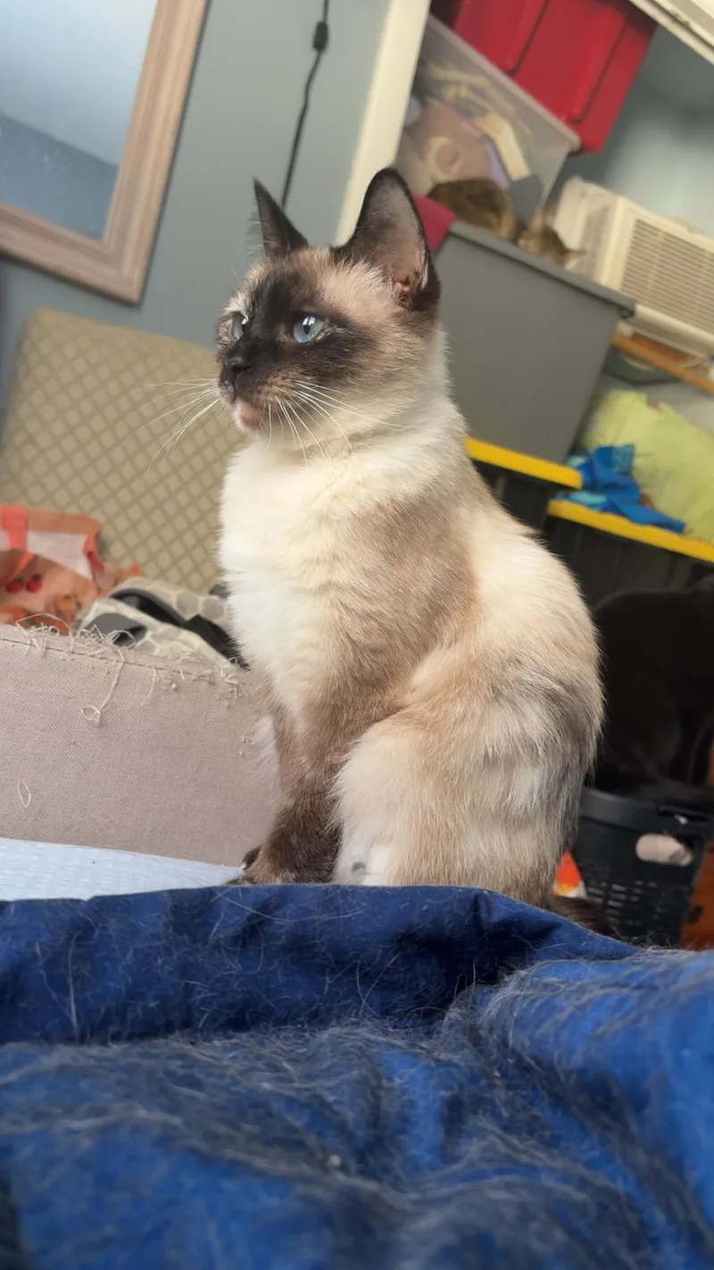 Pink Pony & Victoria thumbnail 4