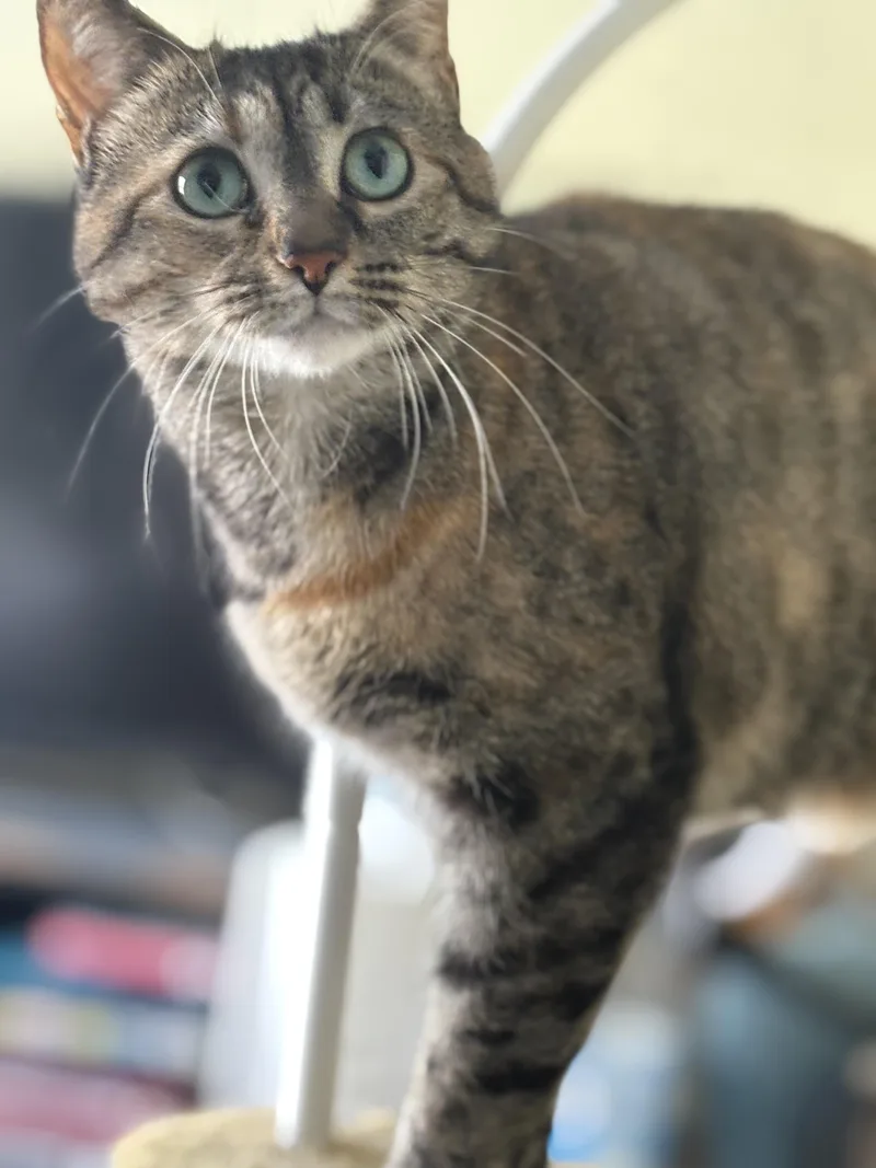 Vienna & Prague thumbnail 2