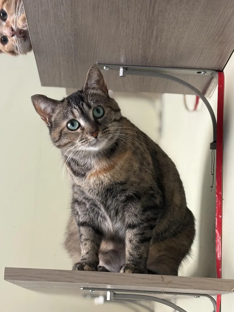 Vienna & Prague thumbnail 4