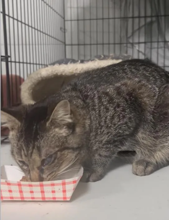 “blessing” Male  Partially thumbnail 2