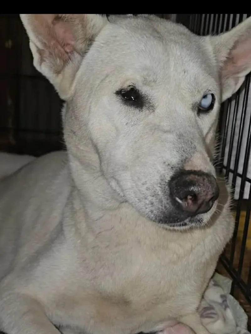 Charlotte thumbnail 2