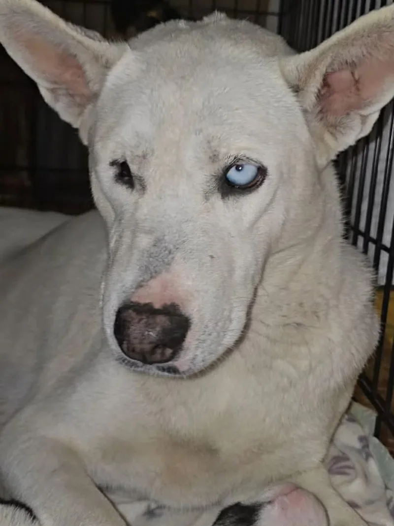 Charlotte thumbnail 3