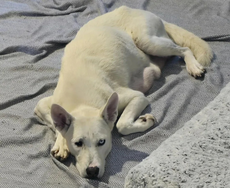 Charlotte thumbnail 4