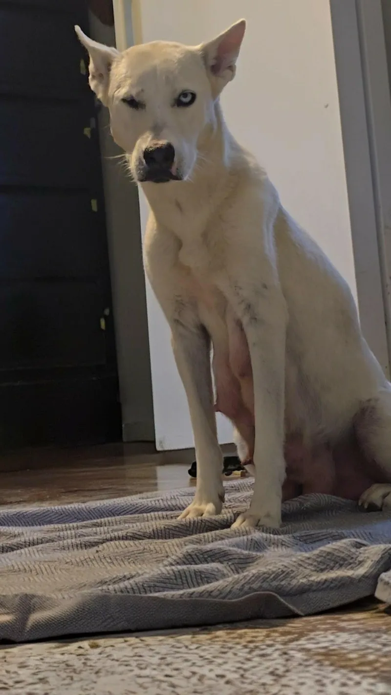 Charlotte thumbnail 5