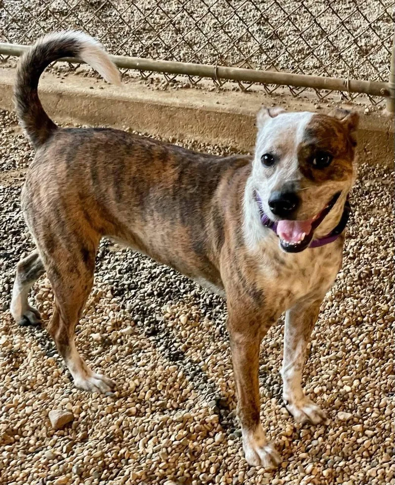 Mary Jane thumbnail 2