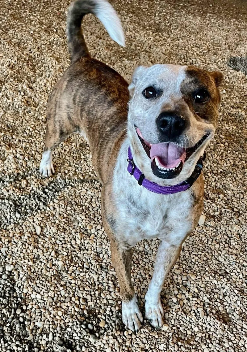 Mary Jane thumbnail 3