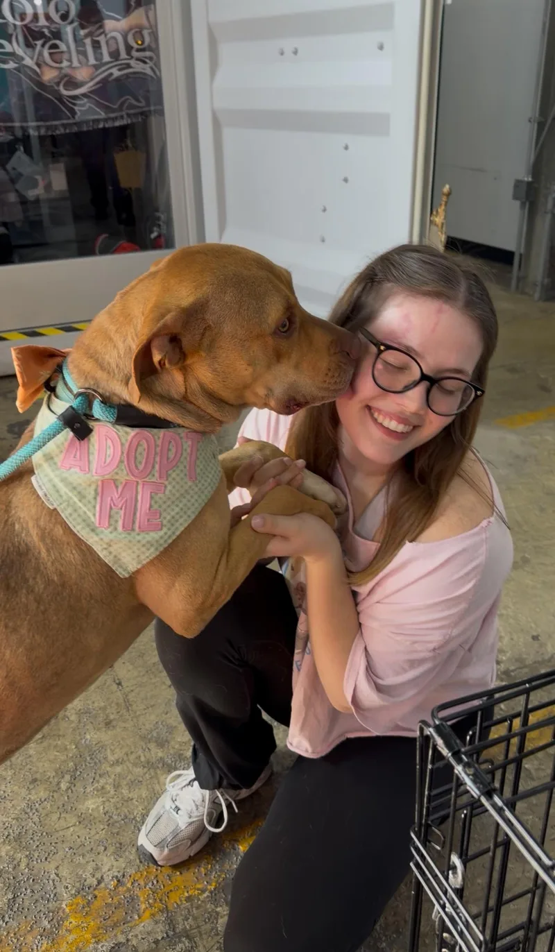 Teddy Roo Ruxpin thumbnail 5