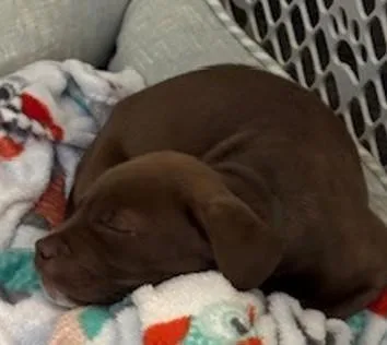 Squiggles thumbnail 2