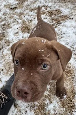 Squiggles thumbnail 3