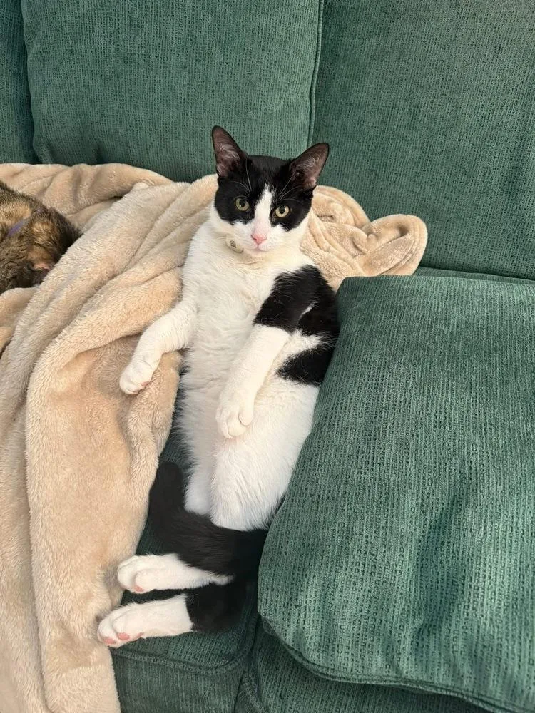 Maveryck thumbnail 4