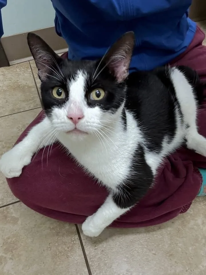 Maveryck thumbnail 6