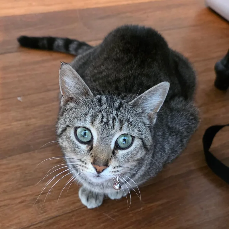 Moira Rose thumbnail 2