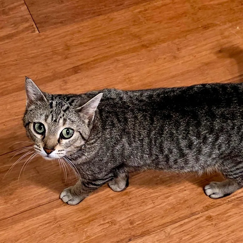 Moira Rose thumbnail 3