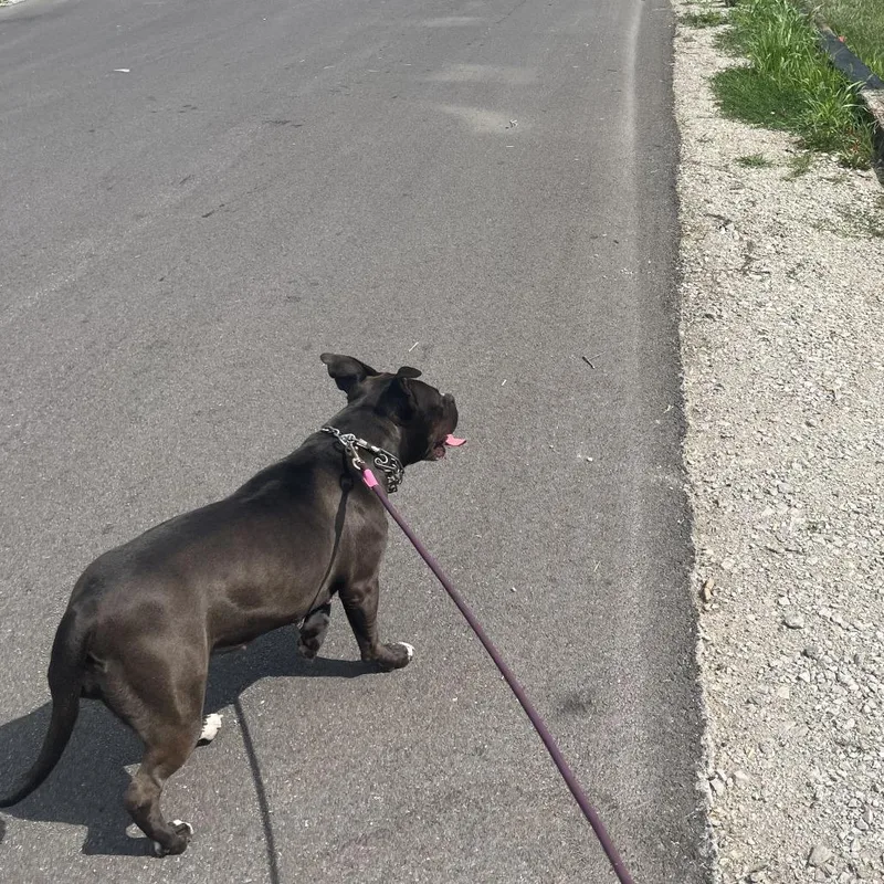 Sassy  Home To thumbnail 2