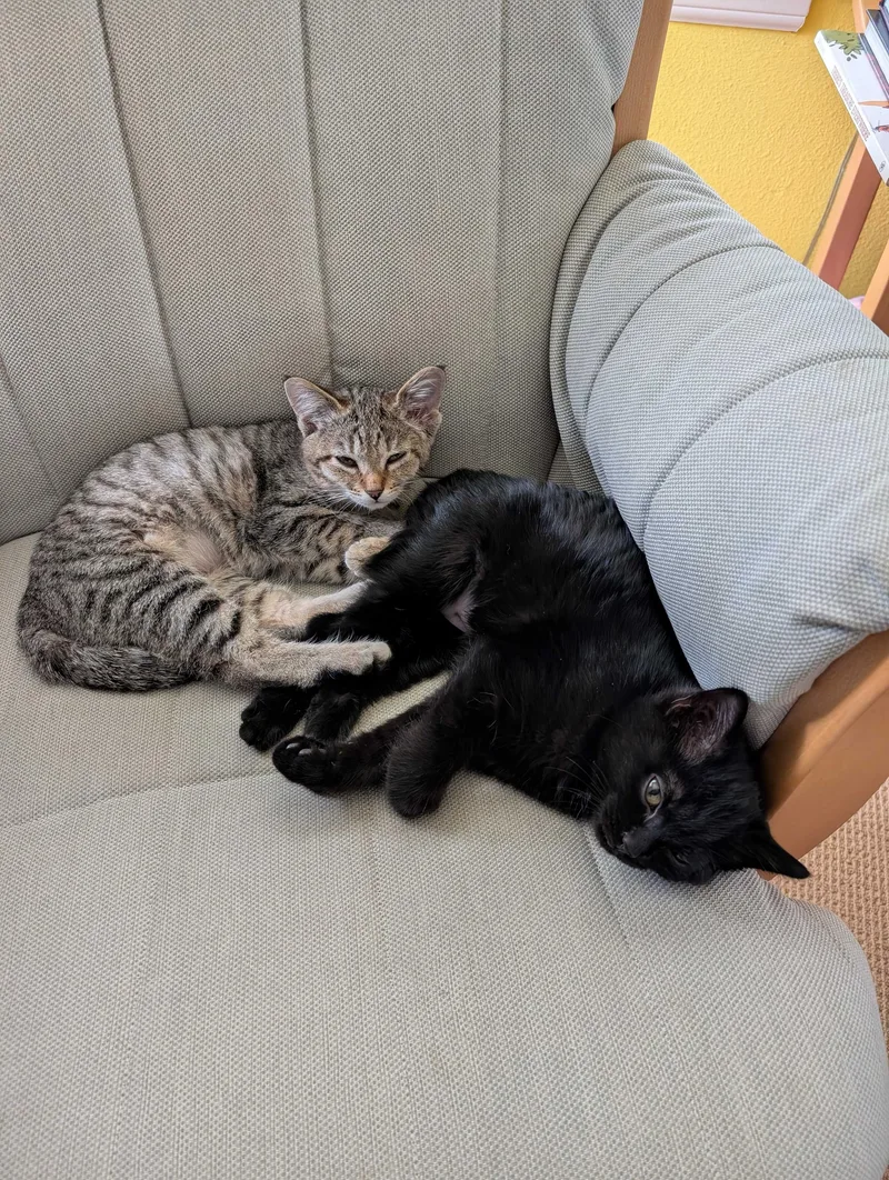 Lursa And B’etor thumbnail 3