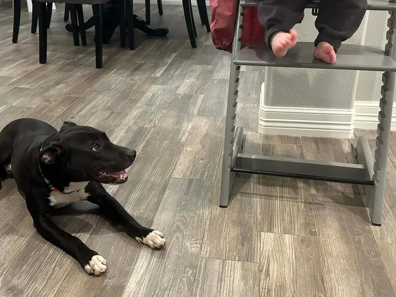 Pax A 💜 🇨🇦 thumbnail 3