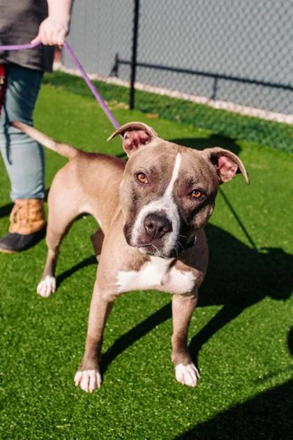 Gomez Fka Trigger thumbnail 2