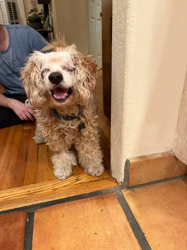 Penelope thumbnail 2