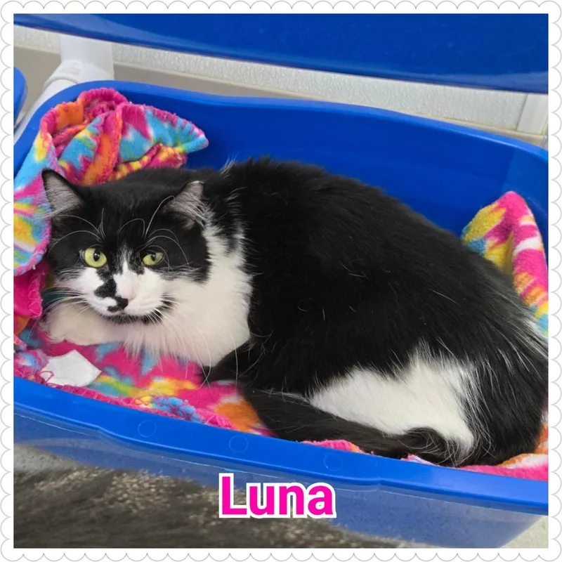 Luna
