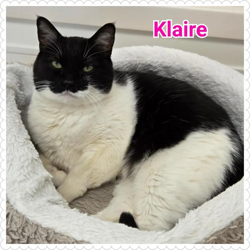 Klaire