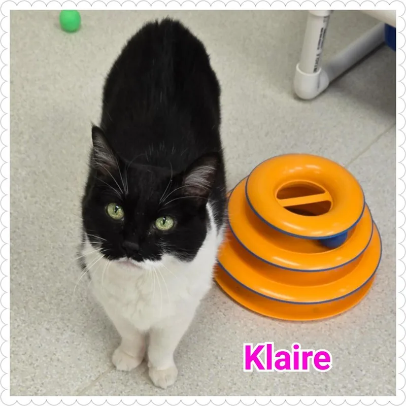 Klaire thumbnail 3