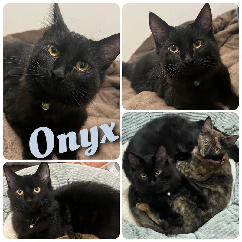 Onyx