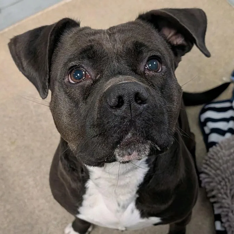 Rionne Jr thumbnail 2