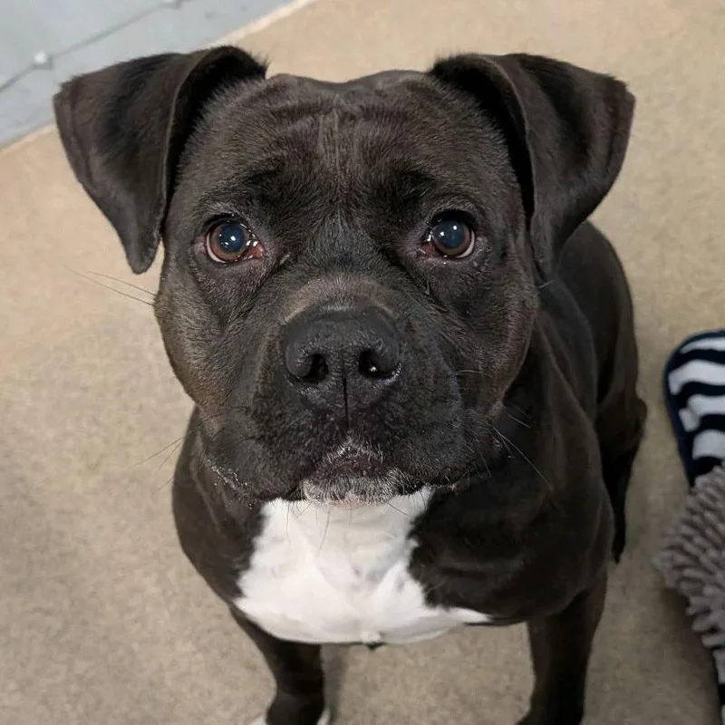 Rionne Jr thumbnail 3