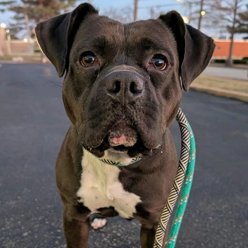 Rionne Jr thumbnail 4