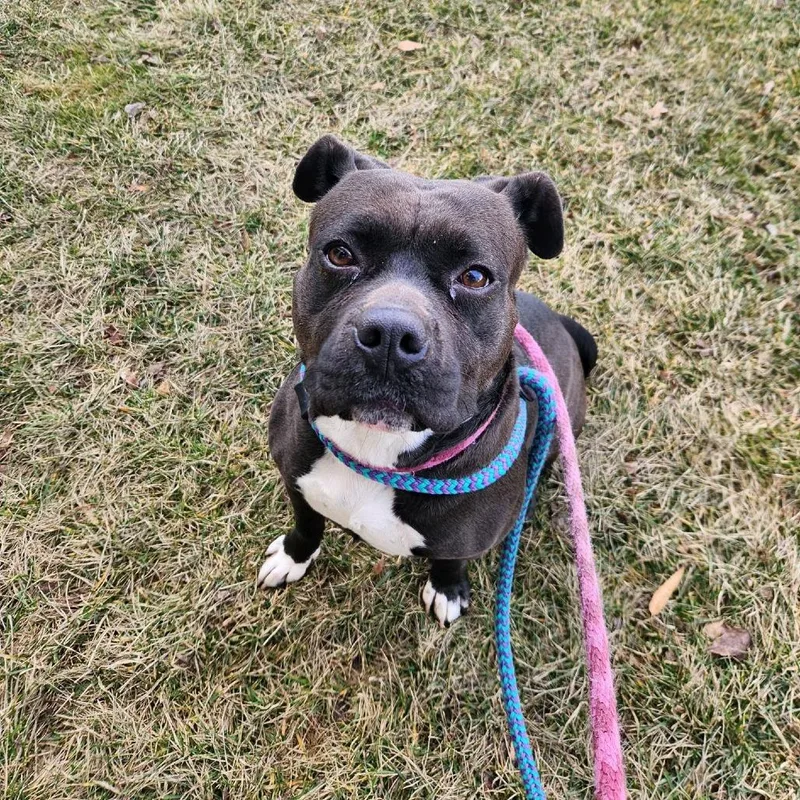 Rionne Jr thumbnail 5