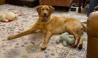 Ruby June thumbnail 2