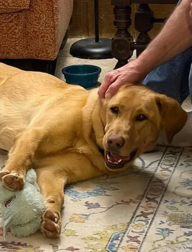 Ruby June thumbnail 3