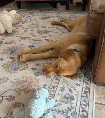 Ruby June thumbnail 4