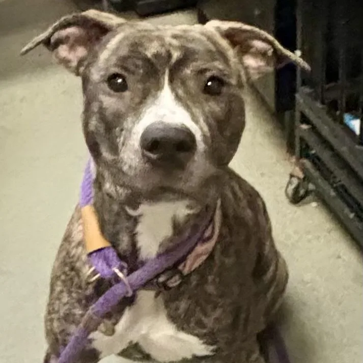 Madeline thumbnail 4