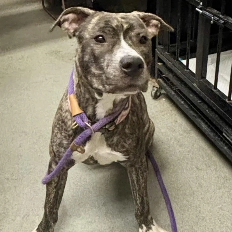 Madeline thumbnail 6