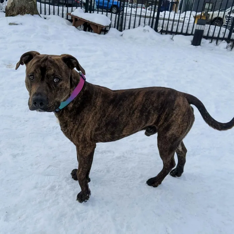 Fernando thumbnail 2