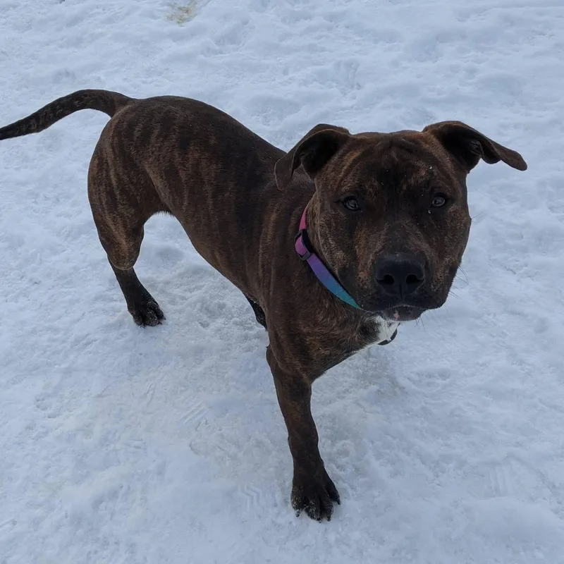 Fernando thumbnail 4