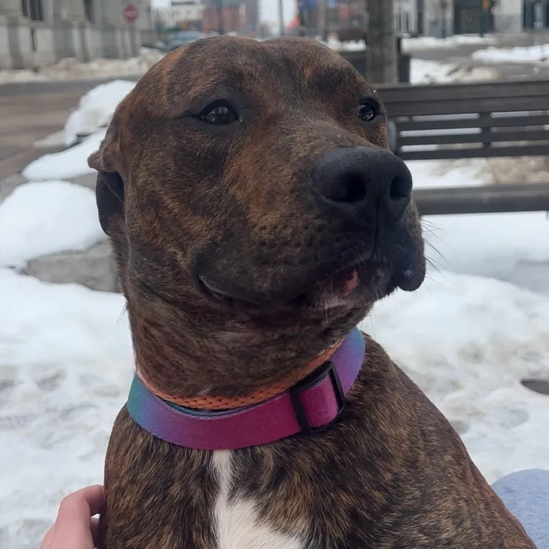 Fernando thumbnail 5