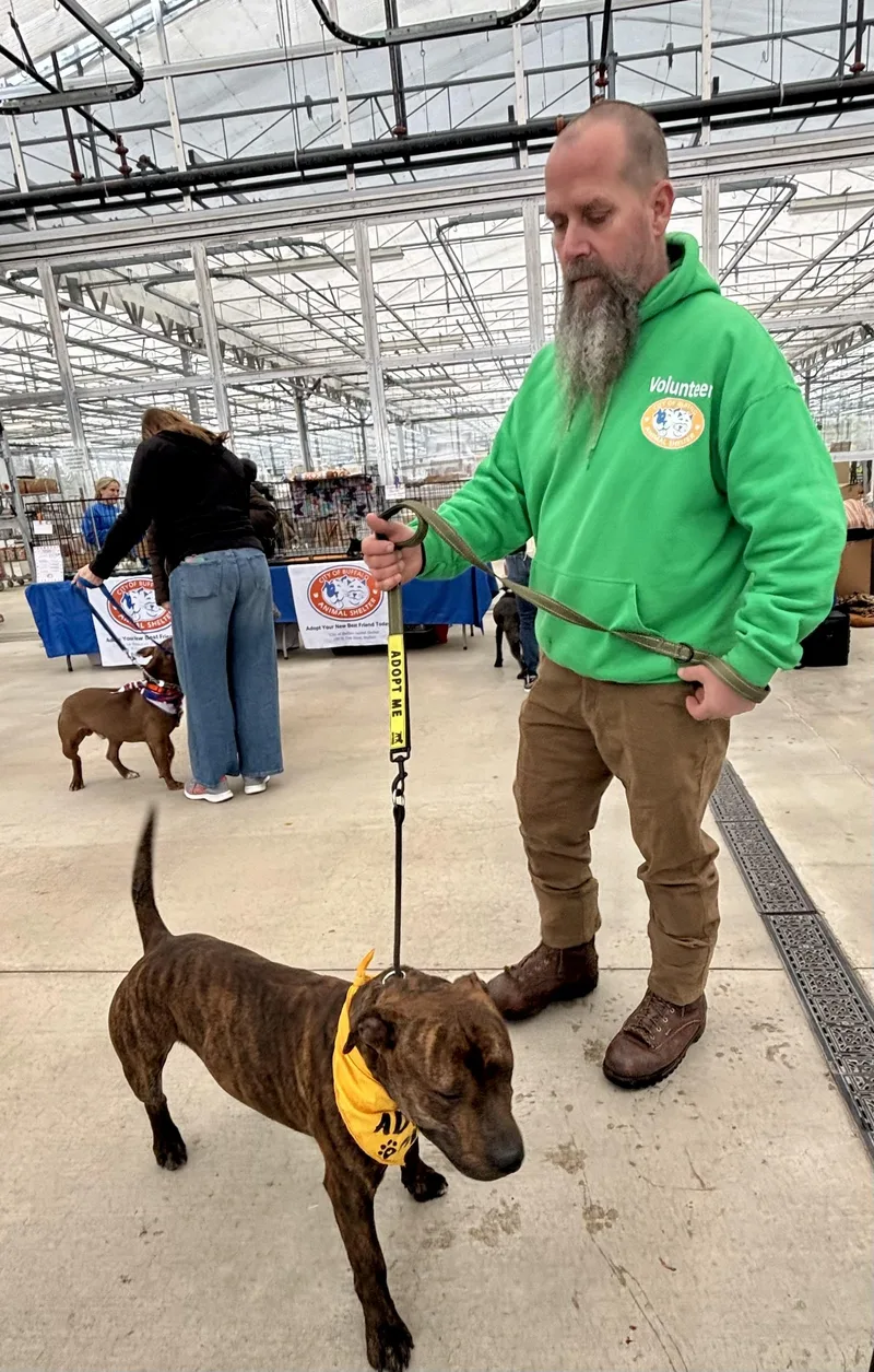 Fernando thumbnail 6