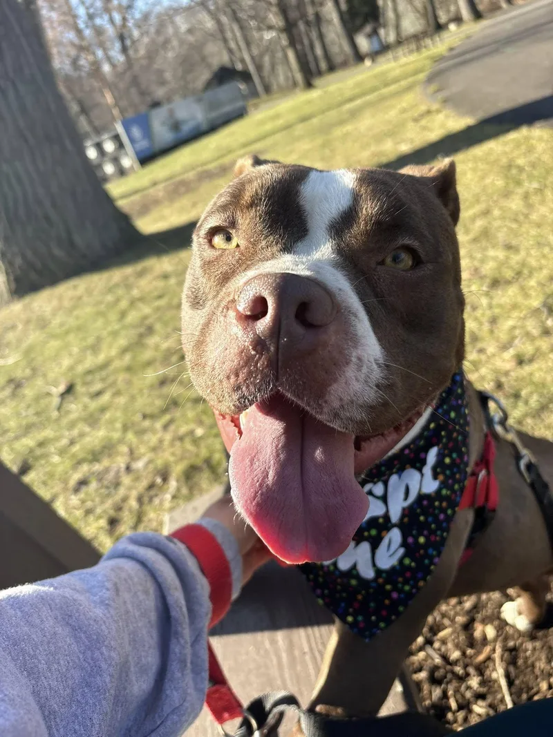 Ms Little Tail thumbnail 3