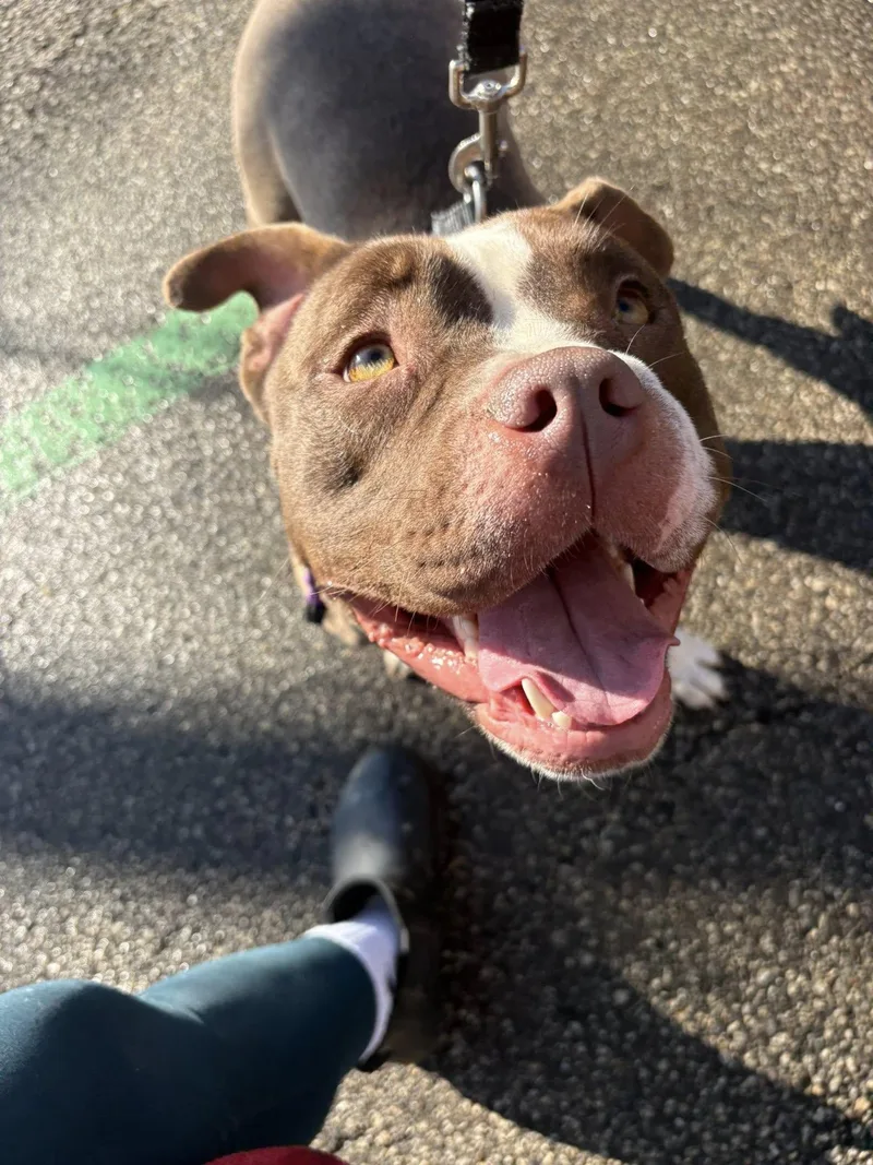 Ms Little Tail thumbnail 4