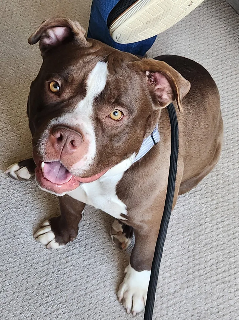 Ms Little Tail thumbnail 5