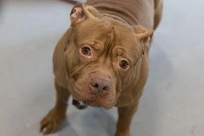 Hamilton thumbnail 2