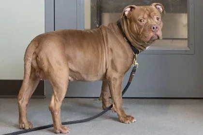 Hamilton thumbnail 3