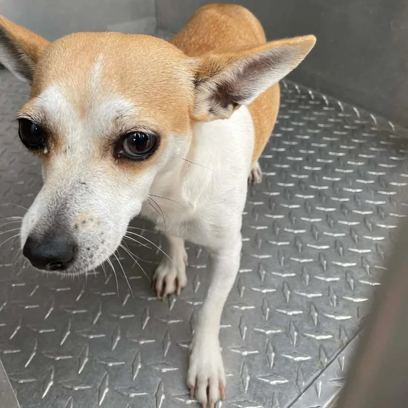 Aurora B thumbnail 2