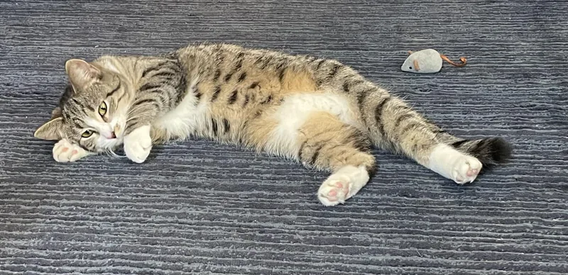 Matilda And Tabitha thumbnail 2