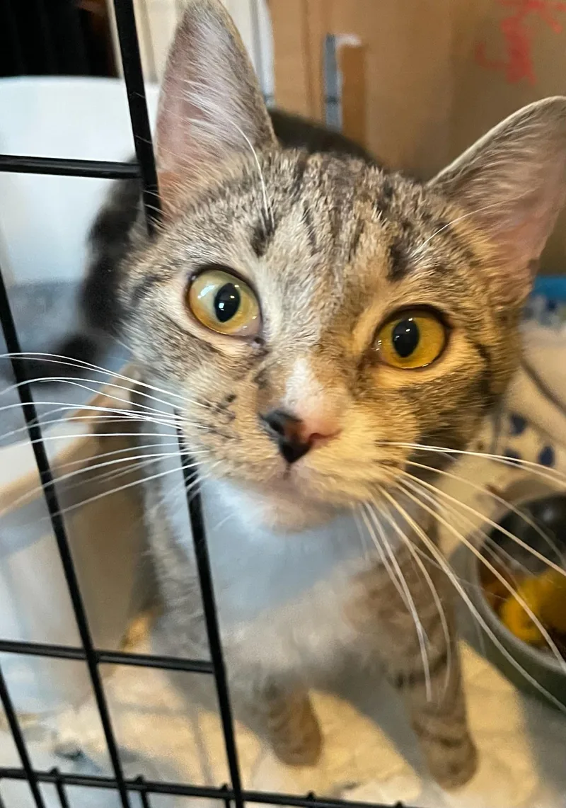 Matilda And Tabitha thumbnail 3