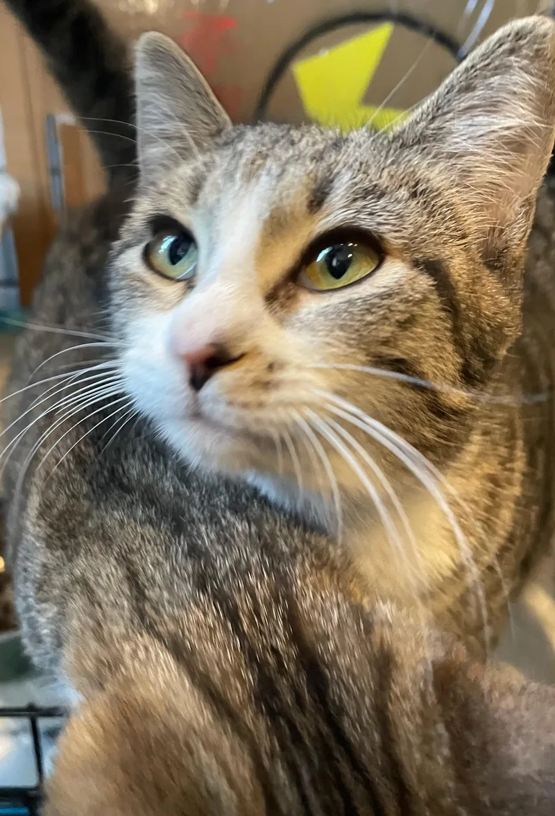 Matilda And Tabitha thumbnail 4