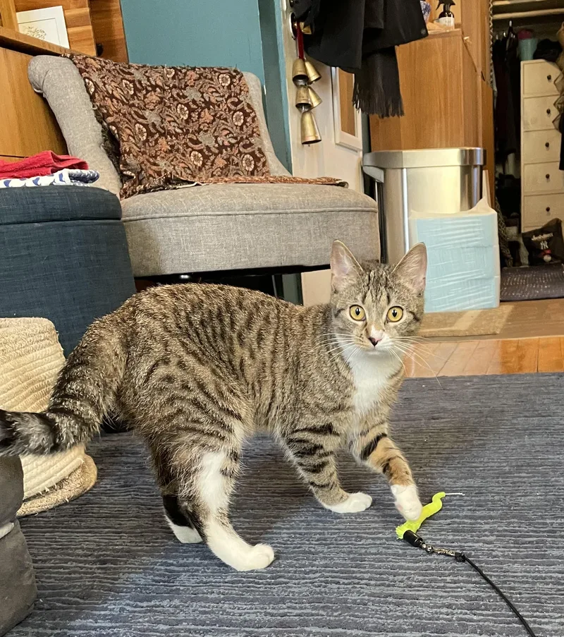 Matilda And Tabitha thumbnail 5